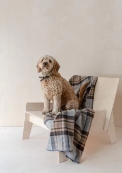 Recycled Wool Large Pet Blanket In Mackellar Tartan